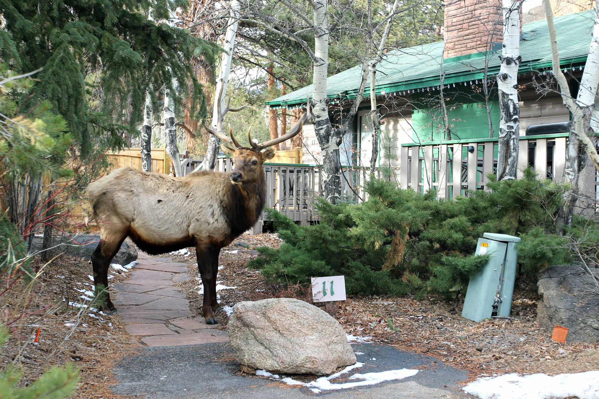 Sunnyside Knoll Resort Estes Park Ngoại thất bức ảnh
